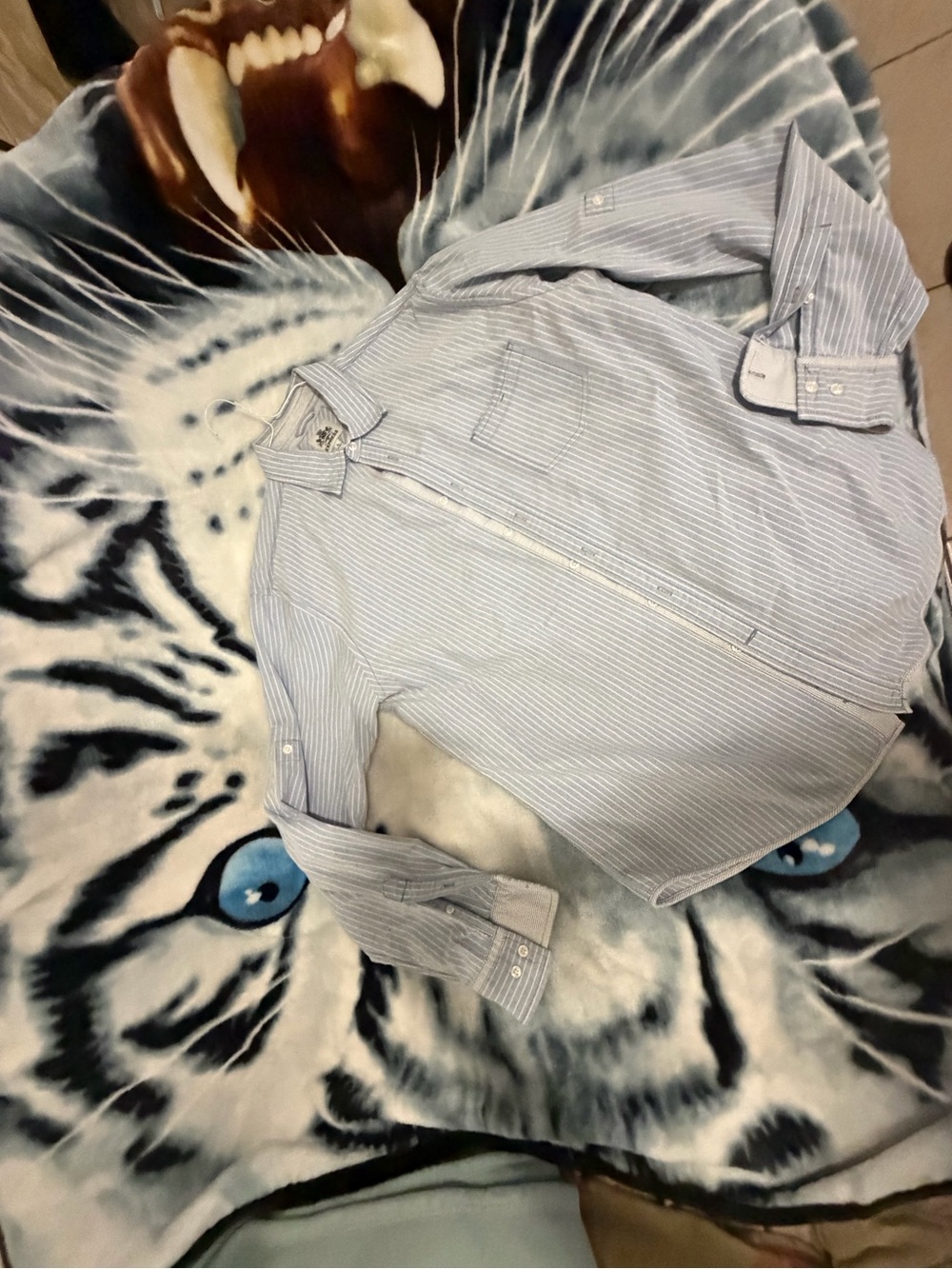 Express Light Blue and White Striped Dress Shirt